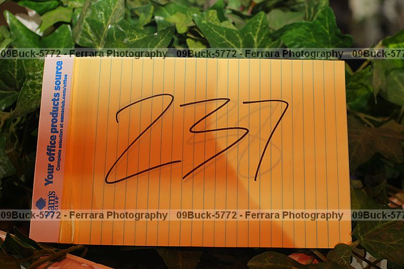 Proof 09buck-5772