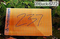 09buck-5772 proof