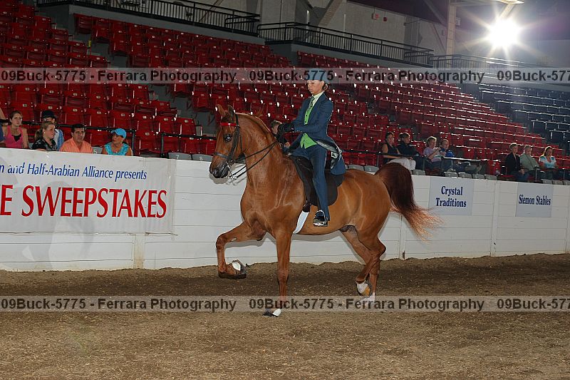 Proof 09buck-5775