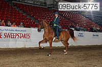09buck-5775 proof