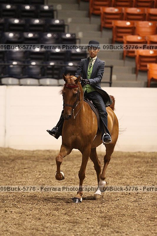 Proof 09buck-5776