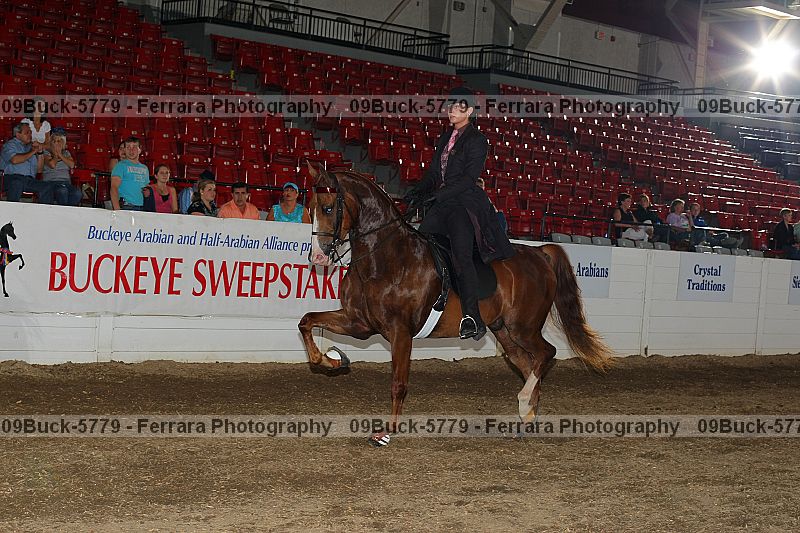 Proof 09buck-5779