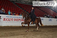 09buck-5779 proof