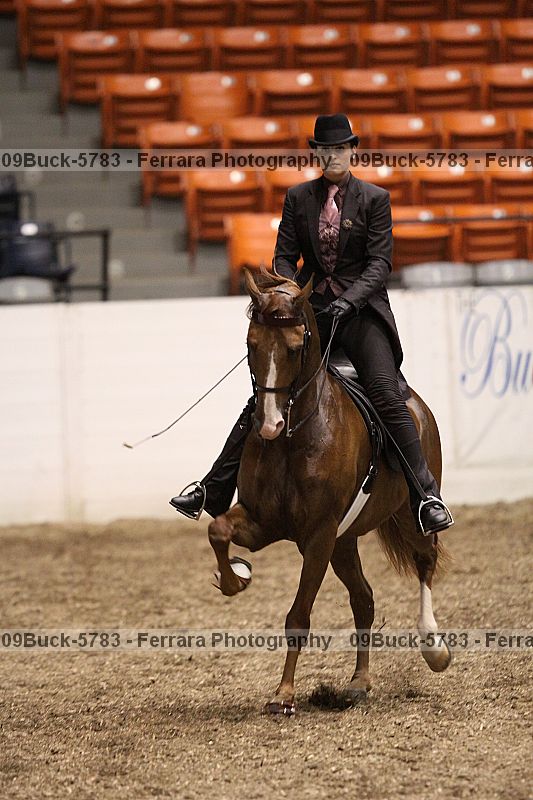 Proof 09buck-5783