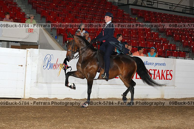 Proof 09buck-5784