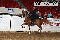 09buck-5785 proof