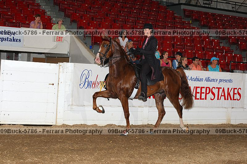 Proof 09buck-5786