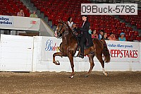 09buck-5786 proof