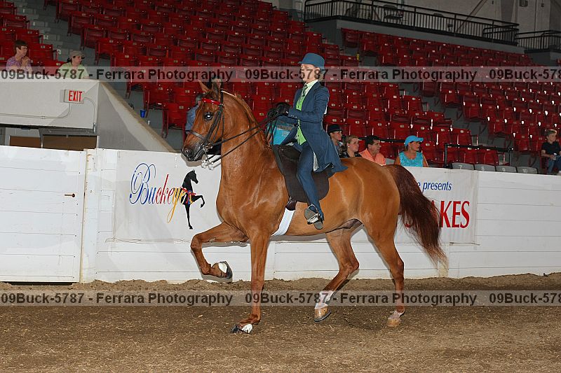 Proof 09buck-5787