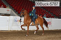 09buck-5787 proof
