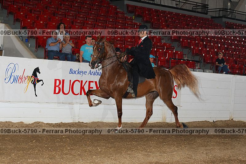 Proof 09buck-5790