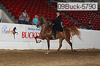 09buck-5790 proof