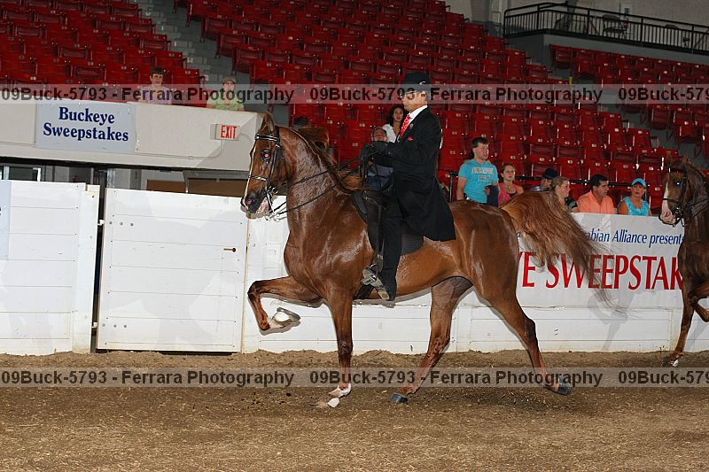 Proof 09buck-5793