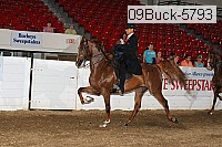 09buck-5793 proof