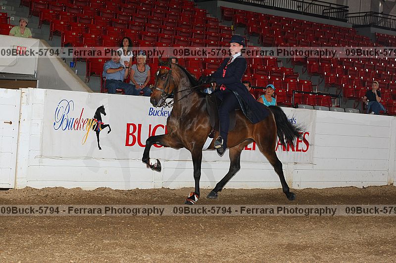 Proof 09buck-5794