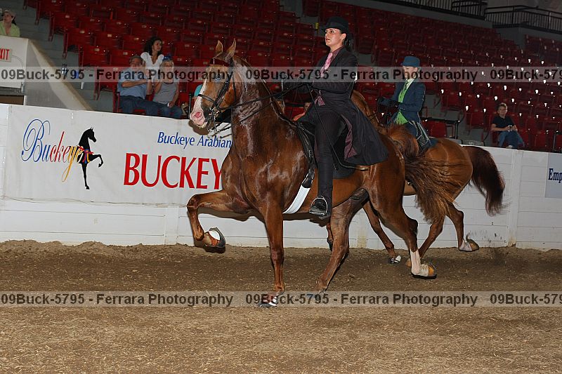 Proof 09buck-5795