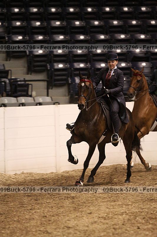 Proof 09buck-5796