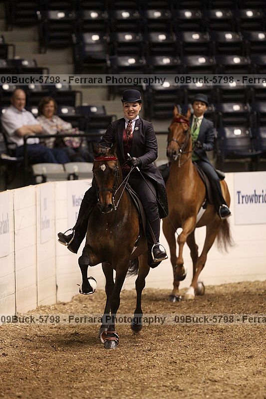 Proof 09buck-5798