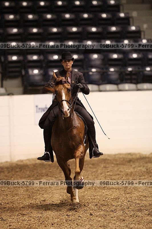 Proof 09buck-5799