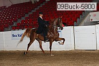 09buck-5800 proof