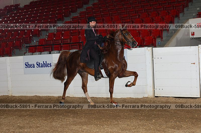 Proof 09buck-5801