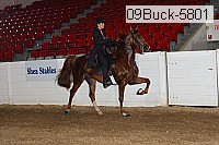 09buck-5801 proof