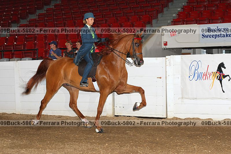 Proof 09buck-5802
