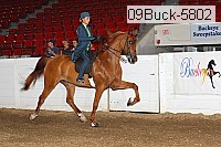 09buck-5802 proof