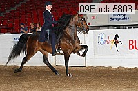 09buck-5803 proof