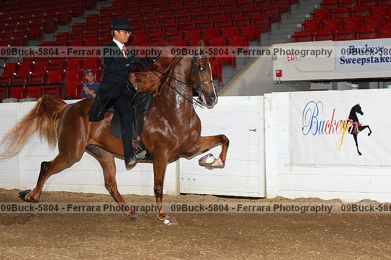 Proof 09buck-5804
