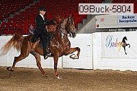 09buck-5804 proof