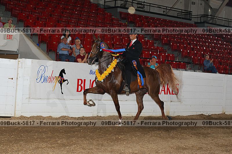 Proof 09buck-5817