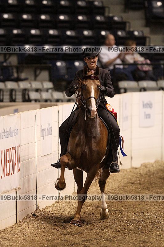 Proof 09buck-5818