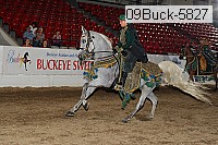 09buck-5827 proof