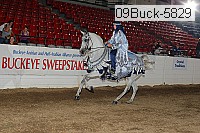 09buck-5829 proof