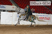 09buck-5834 proof