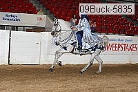 09buck-5835 proof