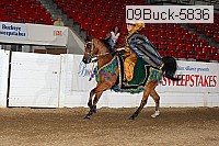 09buck-5836 proof