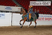 09buck-5847 proof