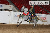 09buck-5849 proof