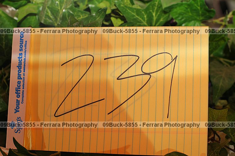 Proof 09buck-5855