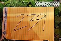 09buck-5855 proof