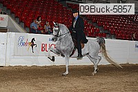 09buck-5857 proof