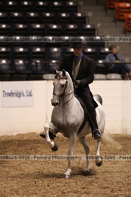 Proof 09buck-5860