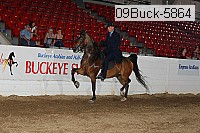 09buck-5864 proof