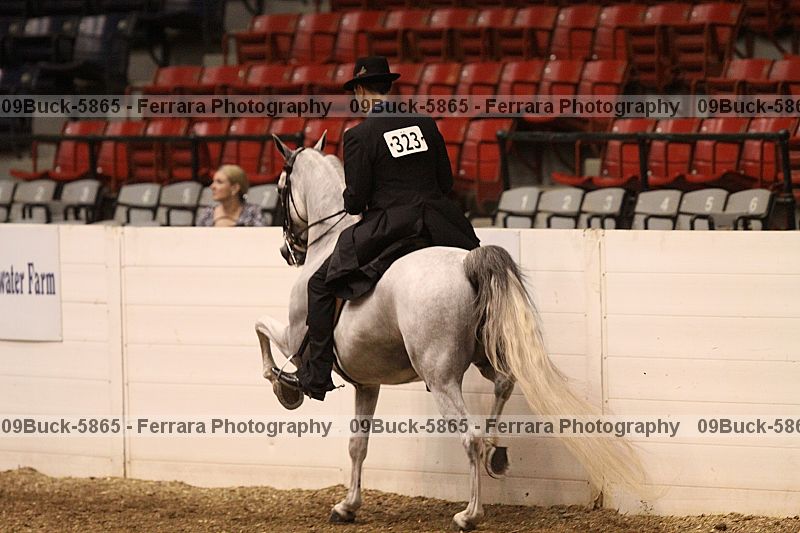 Proof 09buck-5865