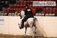 09buck-5865 proof