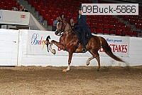 09buck-5866 proof