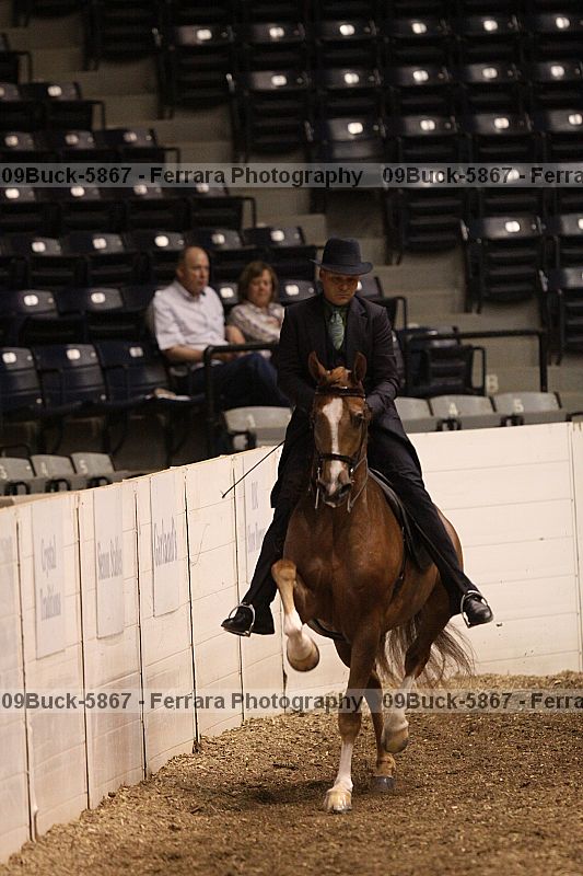 Proof 09buck-5867