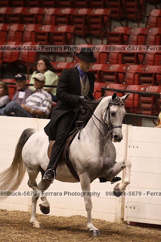 Proof 09buck-5870